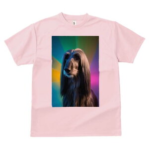 AtKnEh TVc fB[X t@  t  vg JWA 킢 lԗp h ̃fUC ʔ AtKnEh