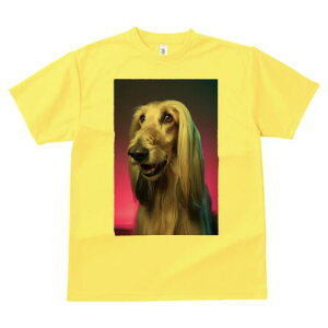 AtKnEh TVc fB[X t@  t  vg JWA 킢 lԗp h ̃fUC ʔ AtKnEh