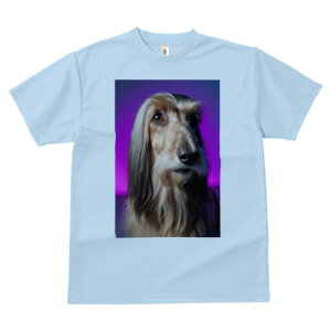 AtKnEh TVc fB[X t@  t  vg JWA 킢 lԗp h ̃fUC ʔ AtKnEh