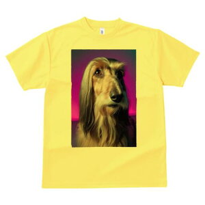 AtKnEh TVc fB[X t@  t  vg JWA 킢 lԗp h ̃fUC ʔ AtKnEh