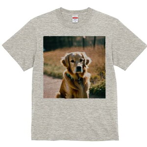 S[fgo[ TVc fB[X t@  t  vg JWA 킢 lԗp h ̃fUC ʔ U S[fgo[  R z