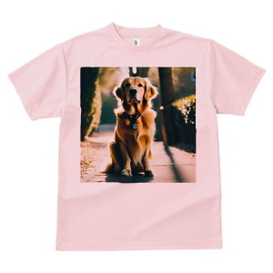 S[fgo[ TVc fB[X t@  t  vg JWA 킢 lԗp h ̃fUC ʔ U S[fgo[  _