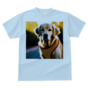 S[fgo[ TVc fB[X t@  t  vg JWA 킢 lԗp h ̃fUC ʔ wi S[fgo[ 