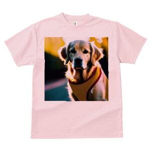 S[fgo[ TVc fB[X t@  t  vg JWA 킢 lԗp h ̃fUC ʔ wi S[fgo[ 