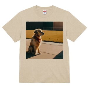 S[fgo[ TVc fB[X t@  t  vg JWA 킢 lԗp h ̃fUC ʔ Ő S[fgo[ ܑ