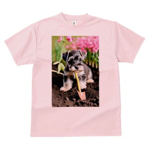 ~j`AViEU[ TVc fB[X t@  t  vg JWA 킢 lԗp h ̃fUC ʔ  ~j`AViEU[  y Vx