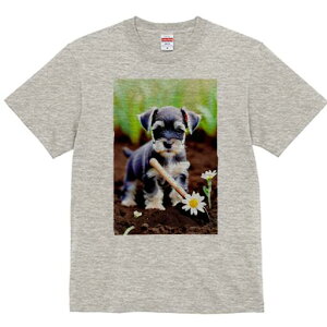 ~j`AViEU[ TVc fB[X t@  t  vg JWA 킢 lԗp h ̃fUC ʔ K[fjO ~j`AViEU[   y