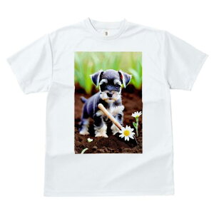 ~j`AViEU[ TVc fB[X t@  t  vg JWA 킢 lԗp h ̃fUC ʔ K[fjO ~j`AViEU[   y