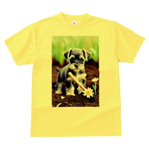 ~j`AViEU[ TVc fB[X t@  t  vg JWA 킢 lԗp h ̃fUC ʔ K[fjO ~j`AViEU[   y