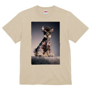 ~j`AViEU[ TVc fB[X t@  t  vg JWA 킢 lԗp h ̃fUC ʔ ~j`AViEU[