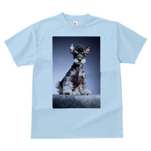 ~j`AViEU[ TVc fB[X t@  t  vg JWA 킢 lԗp h ̃fUC ʔ ~j`AViEU[