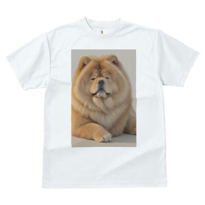 `E`E TVc fB[X t@  t  vg JWA 킢 lԗp h ̃fUC ʔ ӂӂ `E`E 킢 ʂ