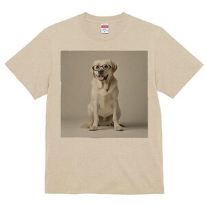 uh[go[ TVc fB[X t@  t  vg JWA 킢 lԗp h ̃fUC ʔ Kl uh[go[