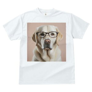 uh[go[ TVc Y LbY t@  t  vg JWA 킢 lԗp h ̃fUC ʔ Kl uh[go[