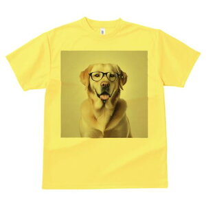 S[fgo[ TVc fB[X t@  t  vg JWA 킢 lԗp h ̃fUC ʔ Kl S[fgo[