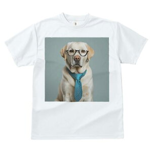 uh[go[ TVc fB[X t@  t  vg JWA 킢 lԗp h ̃fUC ʔ Kl uh[go[ lN^C