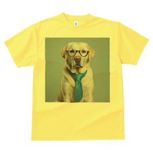 uh[go[ TVc fB[X t@  t  vg JWA 킢 lԗp h ̃fUC ʔ Kl uh[go[ lN^C