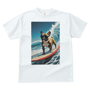 t`uhbO TVc Y LbY t@  t  vg JWA 킢 lԗp h ̃fUC ʔ g t`uhbO T[tB TOX 