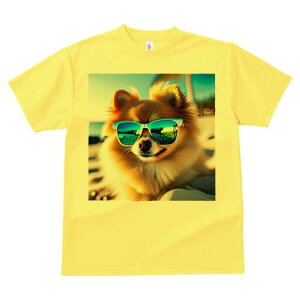 |jA TVc fB[X t@  t  vg JWA 킢 lԗp h ̃fUC ʔ TOX |jA r[`
