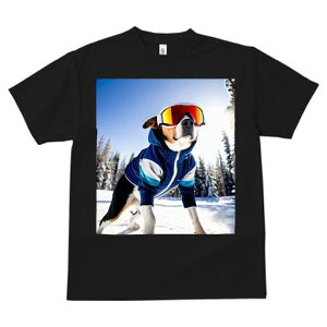 r[O TVc Y LbY t@  t  vg JWA 킢 lԗp h ̃fUC ʔ XL[ r[O ~  XL[EFA