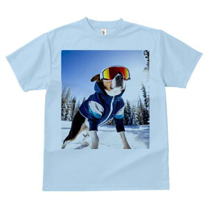 r[O TVc fB[X t@  t  vg JWA 킢 lԗp h ̃fUC ʔ XL[ r[O ~  XL[EFA