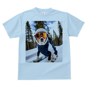 s TVc fB[X t@  t  vg JWA 킢 lԗp h ̃fUC ʔ XL[ s XL[EFA Xq S[O