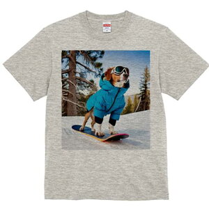 r[O TVc Y LbY t@  t  vg JWA 킢 lԗp h ̃fUC ʔ Xm[{[h r[O XL[EFA R ~