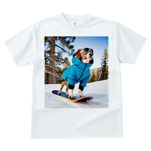 r[O TVc fB[X t@  t  vg JWA 킢 lԗp h ̃fUC ʔ Xm[{[h r[O XL[EFA R ~