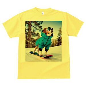 r[O TVc fB[X t@  t  vg JWA 킢 lԗp h ̃fUC ʔ Xm[{[h r[O XL[EFA R ~