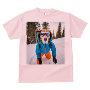 {[_[R[ TVc fB[X t@  t  vg JWA 킢 lԗp h ̃fUC ʔ XL[ {[_[R[  ~ XL[EFA