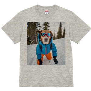 {[_[R[ TVc fB[X t@  t  vg JWA 킢 lԗp h ̃fUC ʔ XL[ {[_[R[  ~ XL[EFA