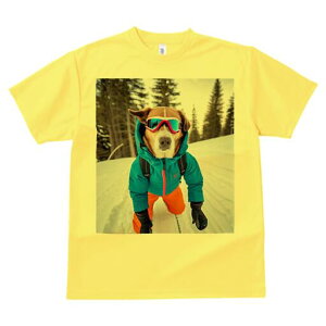 {[_[R[ TVc fB[X t@  t  vg JWA 킢 lԗp h ̃fUC ʔ XL[ {[_[R[  ~ XL[EFA