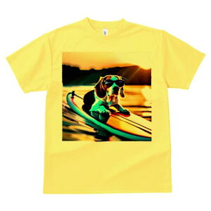 r[O TVc fB[X t@  t  vg JWA 킢 lԗp h ̃fUC ʔ TOX r[O T[t{[h C [Ă