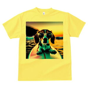 r[O TVc fB[X t@  t  vg JWA 킢 lԗp h ̃fUC ʔ TOX r[O T[t{[h C [Ă