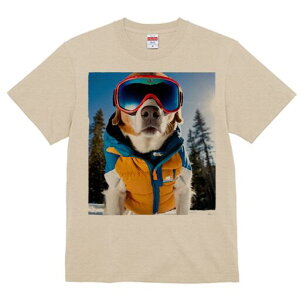 r[O TVc fB[X t@  t  vg JWA 킢 lԗp h ̃fUC ʔ XL[EFA r[O XL[S[O ~ R