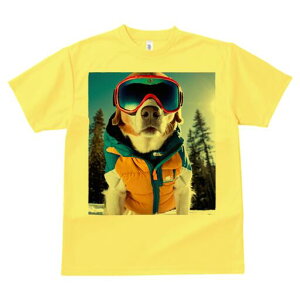 r[O TVc fB[X t@  t  vg JWA 킢 lԗp h ̃fUC ʔ XL[EFA r[O XL[S[O ~ R