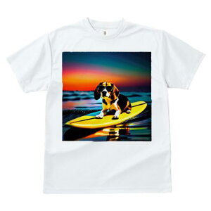 r[O TVc fB[X t@  t  vg JWA 킢 lԗp h ̃fUC ʔ T[tB r[O C [Ă TOX