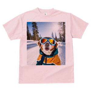 {[_[R[ TVc fB[X t@  t  vg JWA 킢 lԗp h ̃fUC ʔ XL[ {[_[R[ XL[EFA  ~