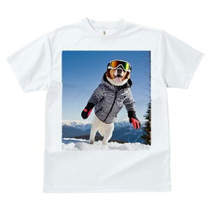 o[j[Y}EehbO TVc fB[X t@  t  vg JWA 킢 lԗp h ̃fUC ʔ XL[EFA o[j[Y}EehbO