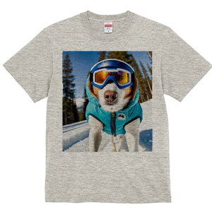 r[O TVc Y LbY t@  t  vg JWA 킢 lԗp h ̃fUC ʔ XL[ r[O XL[EFA ~ R