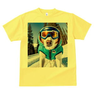 r[O TVc fB[X t@  t  vg JWA 킢 lԗp h ̃fUC ʔ XL[ r[O XL[EFA ~ R