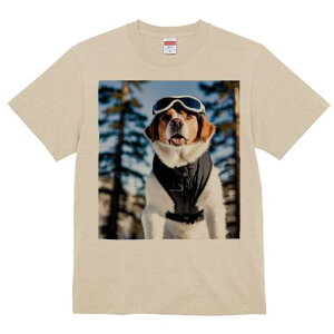 Zgo[i[h TVc fB[X t@  t  vg JWA 킢 lԗp h ̃fUC ʔ XL[EFA Zgo[i[h S[O R