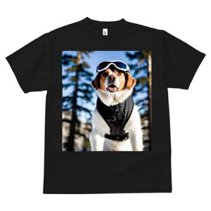 Zgo[i[h TVc fB[X t@  t  vg JWA 킢 lԗp h ̃fUC ʔ XL[EFA Zgo[i[h S[O R