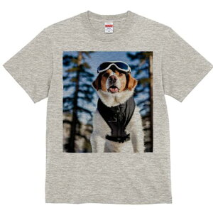 Zgo[i[h TVc fB[X t@  t  vg JWA 킢 lԗp h ̃fUC ʔ XL[EFA Zgo[i[h S[O R