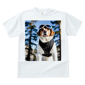 Zgo[i[h TVc fB[X t@  t  vg JWA 킢 lԗp h ̃fUC ʔ XL[EFA Zgo[i[h S[O R