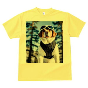 Zgo[i[h TVc fB[X t@  t  vg JWA 킢 lԗp h ̃fUC ʔ XL[EFA Zgo[i[h S[O R