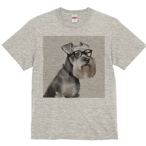 ~j`AViEU[ TVc Y LbY t@  t  vg JWA 킢 lԗp h ̃fUC ʔ Kl ~j`AViEU[ p