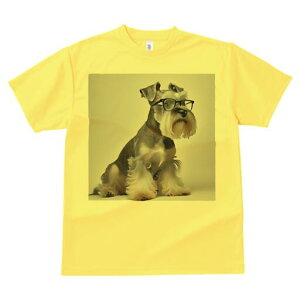 ~j`AViEU[ TVc fB[X t@  t  vg JWA 킢 lԗp h ̃fUC ʔ Kl ~j`AViEU[