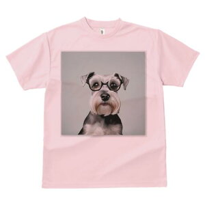 ~j`AViEU[ TVc fB[X t@  t  vg JWA 킢 lԗp h ̃fUC ʔ Kl ~j`AViEU[