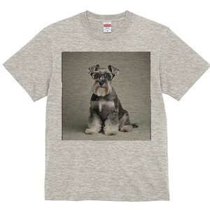 ~j`AViEU[ TVc Y LbY t@  t  vg JWA 킢 lԗp h ̃fUC ʔ Kl ~j`AViEU[